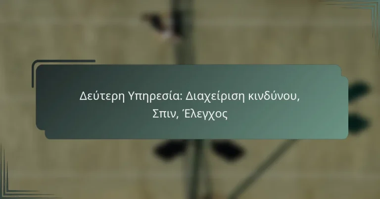 Δεύτερη Υπηρεσία: Διαχείριση κινδύνου, Σπιν, Έλεγχος