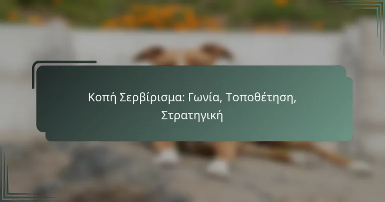 Κοπή Σερβίρισμα: Γωνία, Τοποθέτηση, Στρατηγική